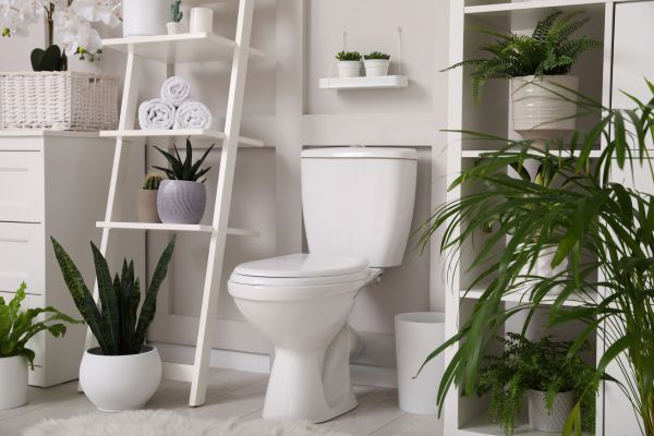 Cost of Toilet Repair in Norwalk