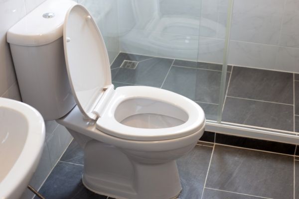 Cost of Toilet Replacement in Norwalk