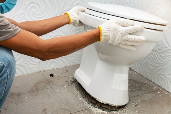 Cost of Toilet Removal in Norwalk