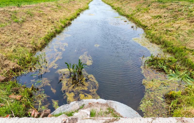 Outdoor Drain Clearing