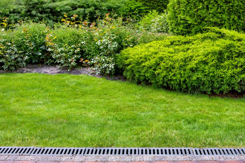 Stormwater Drain Clearing